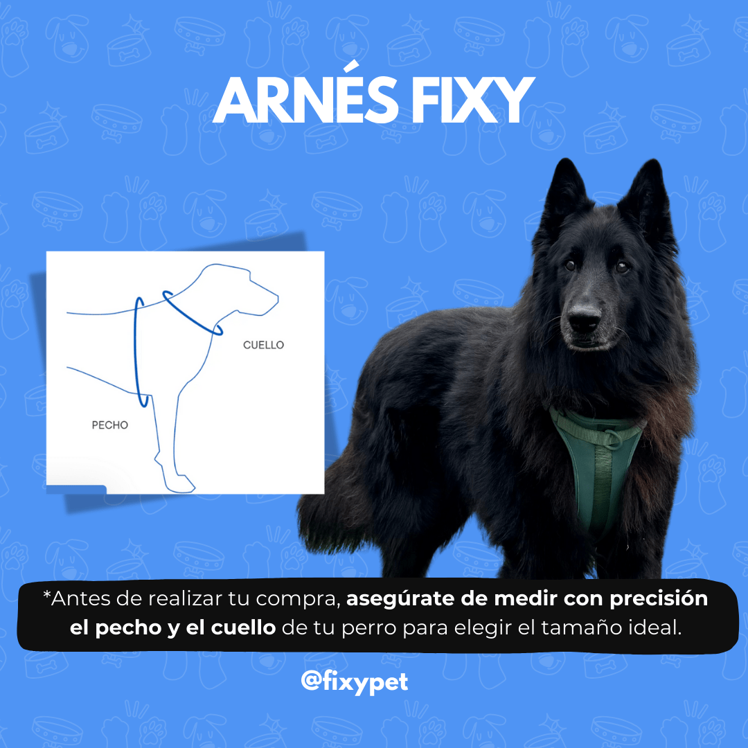 PACK PASEO FIXY (11)