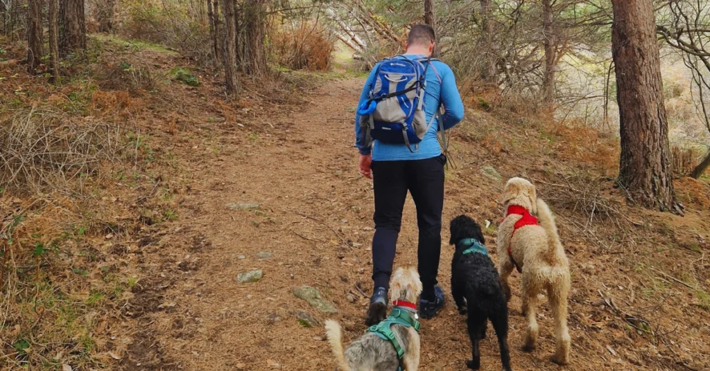 rutas pet-friendly en Madrid